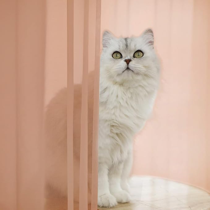 Window Brown Sheer Curtains 48 Inches Width 84 Inches Long 2 Panels Sheer Curtain Clear Curtains Basic Rod Pocket Panel for Home Living Room Bedroom Kids Room Yard Patio Parlor Sliding