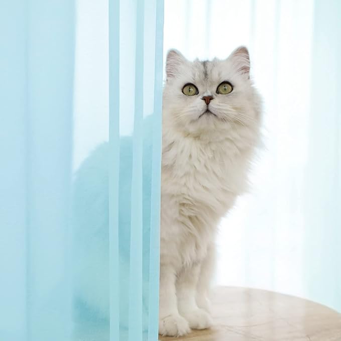 Window Lake Blue Sheer Curtains 48 Inches Width 63 Inches Long 2 Panels Sheer Curtain Clear Curtains Basic Rod Pocket Panel for Home Living Room Bedroom Kids Room Yard Patio Parlor Sliding