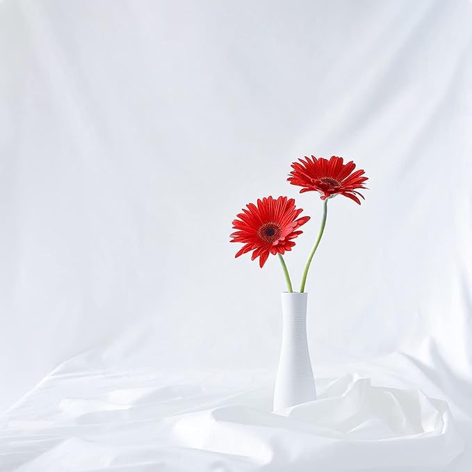 8X10 FT White Backdrop, 100% Polyester Photography Background Curtain Screen, Foldable White Screen Washable for Professional Photoshoot Portraits Party Video Studio