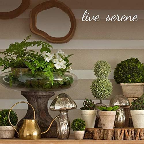 Serene Spaces Living Clear Optical Glass Votive Holder, Perfect for Weddings and Home Décor, Measures 5" Tall and 3.5" Diameter, Set of 12