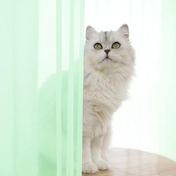 Window Light Green Sheer Curtains 108 Inches Long 2 Panels Sheer Curtain Basic Rod Pocket Panel for Bedroom Children Living Room Yard Kitchen