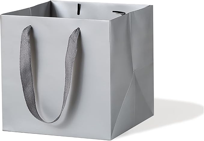 Silver Gray Paper Gift Bag Small Square Bottom Kraft Paper Bags with Handles for Wedding Baby Shower Birthday Party (Silver Grey, 8 x 8 x 8 in, 10 CT)