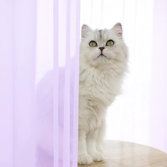 Window Purple Sheer Curtains 48 Inches Width 72 Inches Long 2 Panels Sheer Curtain Clear Curtains Basic Rod Pocket Panel for Home Living Room Bedroom Kids Room Yard Patio Parlor Sliding