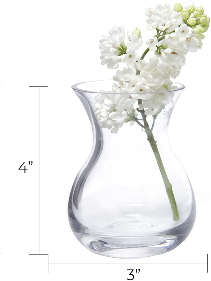 CHIVE ‘George’ Glass Bottle Flower Vases — Set of 6 — Small, Elegant Clear Glass Bud Vases — Bulk Pack for Home Decor & Table Centerpieces — Shape 4 (Oval, 4” Tall, 3” Wide)