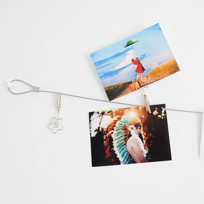 Multi-Purpose Steel Wall Hanging Photo Display Cable Wire Rod with 12 Adjustable Clips for Hanging Photos Notes Postcard and Artworks (Flower)