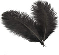 Sowder 14-16inch(35-40cm) Ostrich Feathers Plume for Wedding Centerpieces Home Decoration Pack of 10pcs(Black)