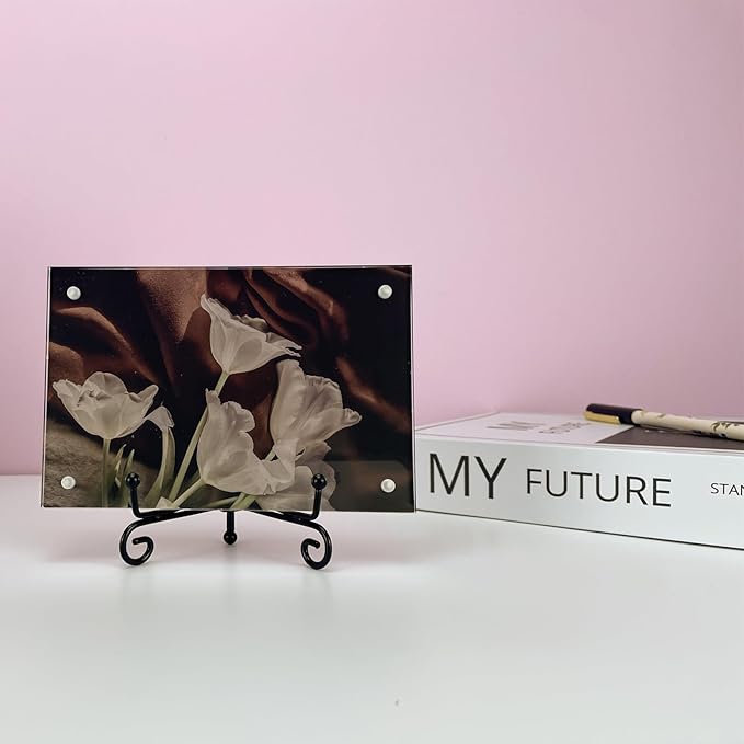 8PCS Premium Black Iron Plate Stands for Display 4 Inch, Decorative Solid Metal Plate Holders for Displaying, Mini Easel, Frame, Book, Card, Plaque, Bowl, Picture Stands for Display