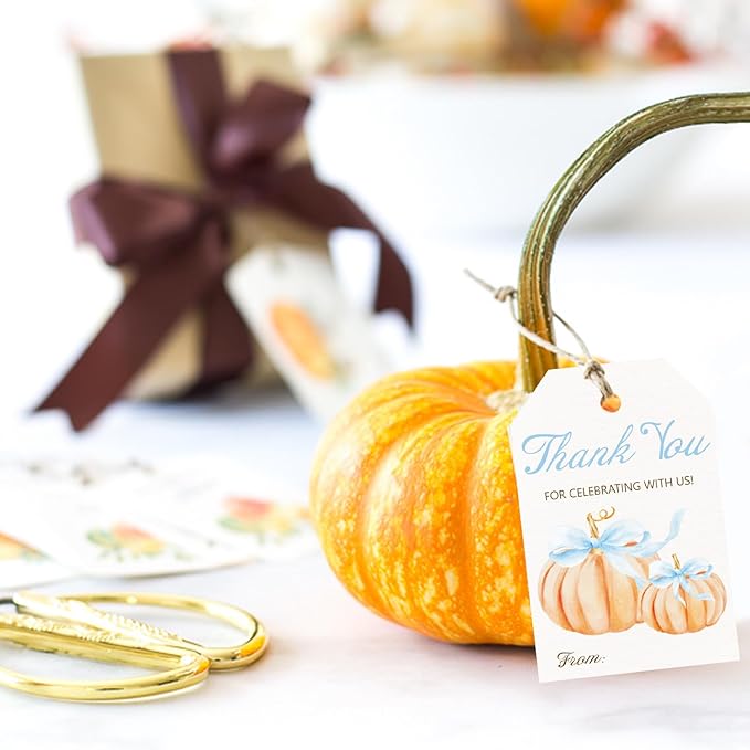 50pcs Little Pumpkin Thank You Tags, Pumpkin Bow Fall Theme Favor Tags for Boy Coquette Baby Shower and Birthday Party Gift Wrapping Decoration (Blue Bow)