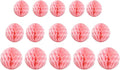 15pcs Honeycomb Balls Decorations 4'' 6'' 8'' Party Honeycomb Ball Flower Tissue Pom Poms Flower Ball Hanging Flower Balls for Baby Shower Birthday Wedding Nursery Decor(4'' 8'' 10'' Lt-Pink)