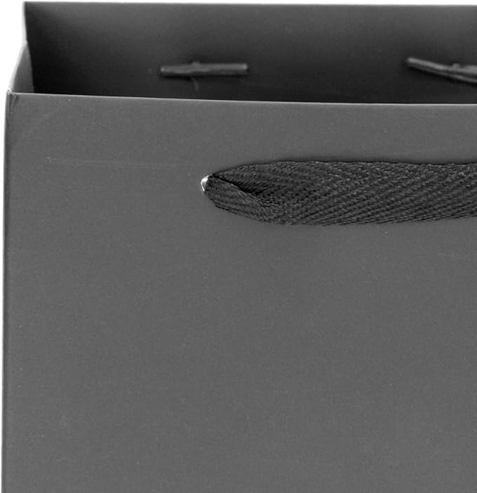 Black Paper Gift Bag 10 in Paper Gift Box Square Bottom Kraft Paper Bags with Handles for Wedding Baby Shower Birthday Party (Black, 10 x 10 x 10 in, 10 CT)