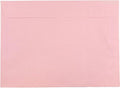 JAM PAPER 9 x 12 Booklet Premium Envelopes - Baby Pink Pastel - 25/Pack