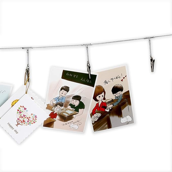 Multi-Purpose Steel Wall Hanging Photo Display Cable Wire Rod String with 12 Clips for Hanging Photos Notes and Artworks (Alligator clip)