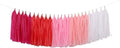 Fonder Mols Tassel Garland DIY Kit (25pcs, Pink Ombre) - Balloon Tail Banner - Bachelorette Party & Baby Shower Decorations