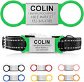 Personalized Engraved Name Tag - Silent No Noise - Custom Slide On ID Tags for Dogs and Cats - Small, Medium, Large Sizes