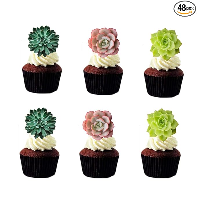 24pcs Edible Cupcake toppers Succulents Hawaiian Party Cake Summer Decoration,Not 3D …