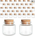 JIUYUE 40 pcs 20 ml Glass Bottle with Cork,Small Craft Jars(0.67 oz-1.45x1.57 inch)