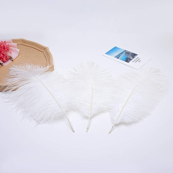 12pcs Natural White Ostrich Feathers 12-14inch (30-35cm) for Wedding Party Centerpieces，Flower Arrangement and Home Decoration.