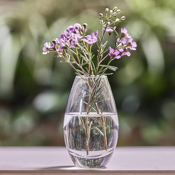 CHIVE ‘George’ Glass Bottle Flower Vases — Set of 6 — Small, Elegant Clear Glass Bud Vases — Bulk Pack for Home Decor & Table Centerpieces — Shape 5 (Oval, 5” Tall, 2.5” Wide)