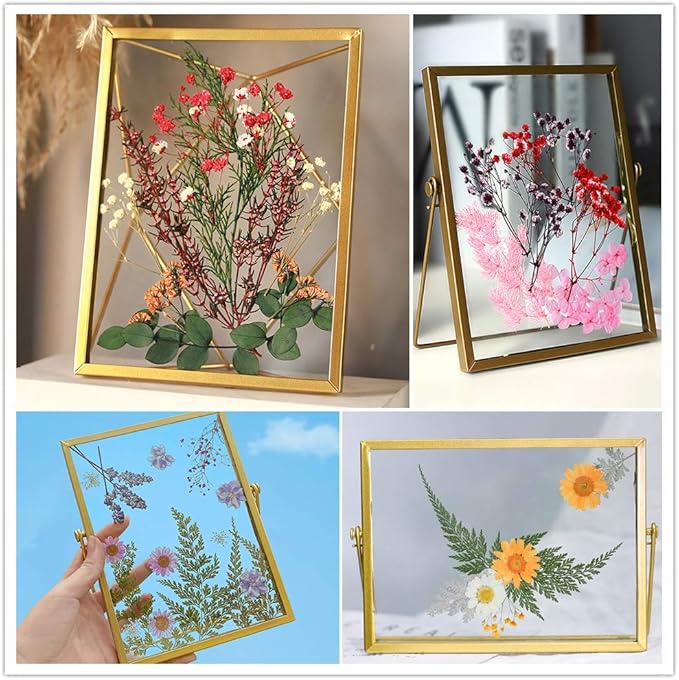 Vignee Real Dried Pressed Leaf Flowers-Multiple Colorful Pressed Flowers Daisies for Craft Resin Jewelry Making Art Craft DIY（Red）