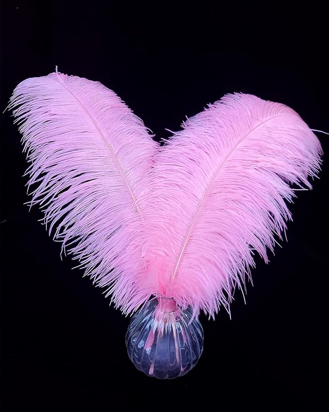 Happy Feather 16-18 inch Pink Ostrich Feathers Craft for Wedding Party Centerpieces Home Decoration DIY Craft Pack of 10