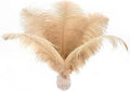 Ballinger Champagne Large Ostrich Feathers - 12Pcs 14-16inch Large Boho Feathers for Vase,Wedding Party Centerpieces and Holiday Home Decor