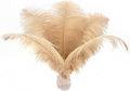 Ballinger Large Champagne Ostrich Feathers - 24pcs 8-10inch Boho Feathers for vase and Home Decor Wedding Party Centerpieces