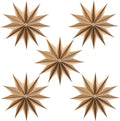 5 Pcs 12-Pointed Brown Paper Star Lanterns 12 Inch Hanging Lamp Rustic Paper Decorations Shade Scandi Home Party Decorations for Wedding Birthday Christmas