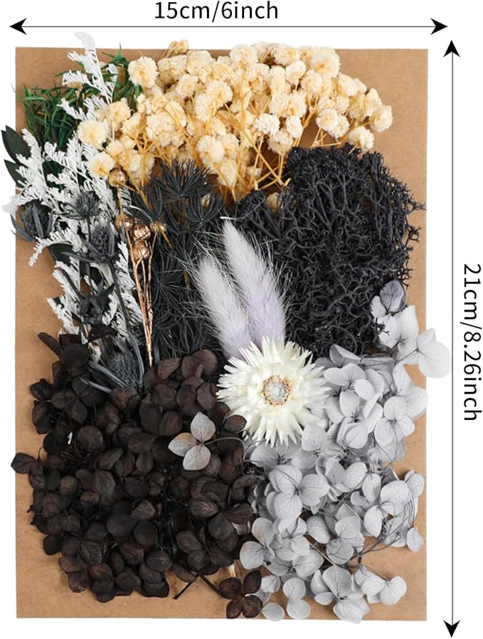 Dried Flowers,Dried Flowers Set for DIY Scrapbook Accessories Flower Arrangements Flower Decoration Wedding Decoration(Black)