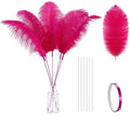 Holmgren Hot Pink Ostrich Feathers - 20pcs Making Kit 22 Inch Ostrich Feathers Bulk for Vase, Floral Arrangement, Home Wedding Party Centerpieces and Easter Gatsbi Decorations