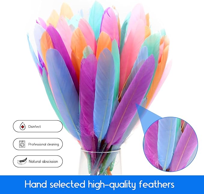 FeelfunFeather 120pcs Macaron Goose Cochettes Feather 4-6 inch 10-15cm Bulk Natural for Wedding Party Halloween Decorations DIY Cosplay Gothic Costumes Crafts