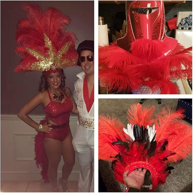 12pcs Natural Bright Red Ostrich Feathers 12-14inch (30-35cm) for Wedding Party Centerpieces，Flower Arrangement and Home Decoration.