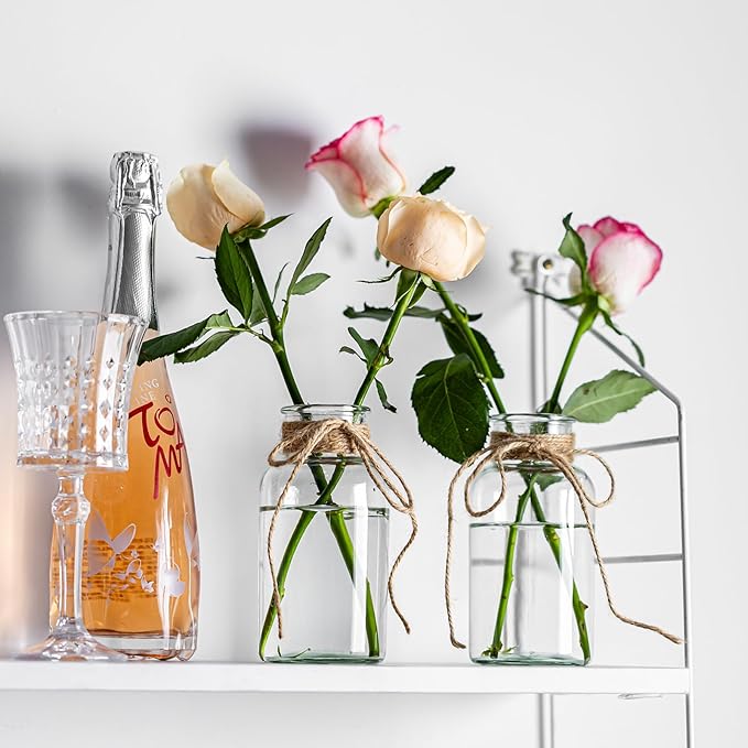 Vintage Glass Vases, Mason Jars for Centerpieces, Farmhouse Mason Jar Vase with Rope Design, Centerpiece Vases for Table, Wedding & Home Decor (4)