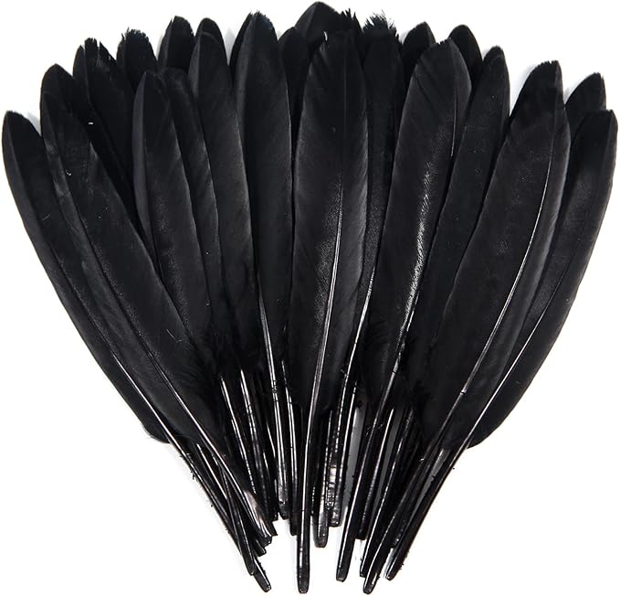 FeelfunFeather 120pcs Black Goose Cochettes Feather Natural Bulk 4-6 inch 10-15cm for Wedding Party Christmas Halloween Decorations DIY Crafts