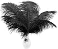 Ballinger Black Large Ostrich Feathers - 24Pcs 12-14inch Large Feathers for Vase,Gatsby and Halloween Party Centerpieces