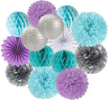 Purple-Blue Silver Frozen Christmas Party Decorations - 14pcs Winter Girl Birthday New Year Paper Lanterns Fan,Tissue Pom Poms Streamers,Honeycomb Balls,Mermaid Baby Shower Decor Lasting Surprise