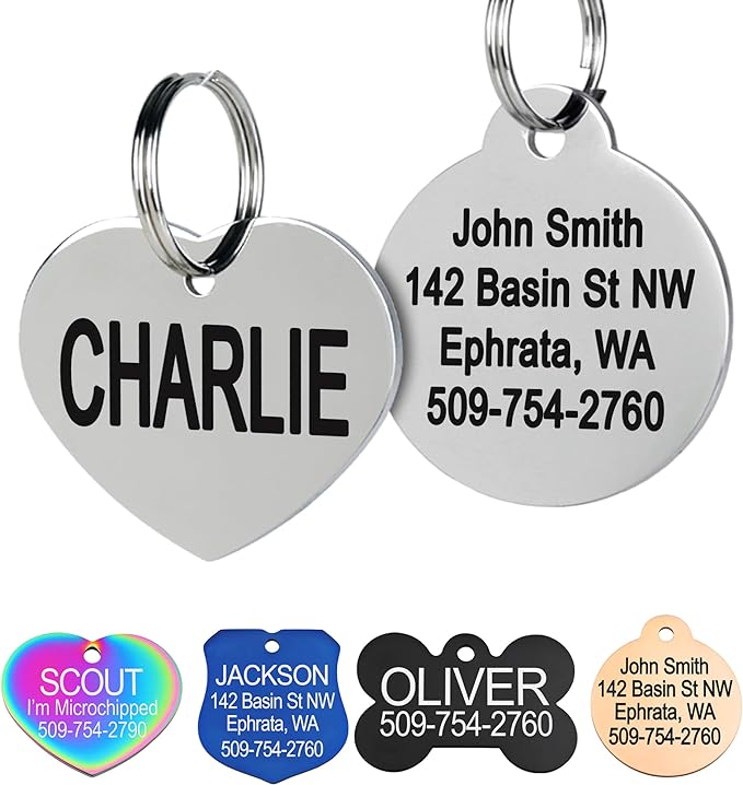 GoTags Stainless Steel Pet ID Tags, Personalized Dog Tags and Cat Tags, up to 8 Lines of Custom Text, Engraved on Both Sides, in Bone, Round, Heart, Bowtie and More (Heart, Small (Pack of 1))