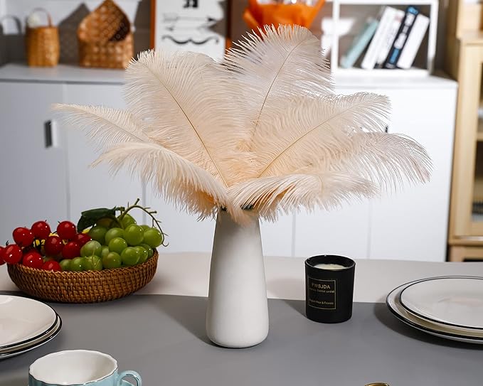Ballinger Light Salmon Ostrich Feathers - 24pcs 12-14inch Big Feathers for Crafts，Wedding Party Centerpieces and Home Decor