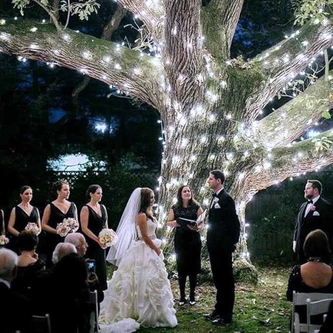 Vicloon Fairy Curtain Lights,300 LED White Curtain Lights,8 Modes 9.8×9.8Ft Waterproof Window Curtain String Light USB&Battery Powered with Remote Control,String Lights Curtain for Indoor,Outdoor
