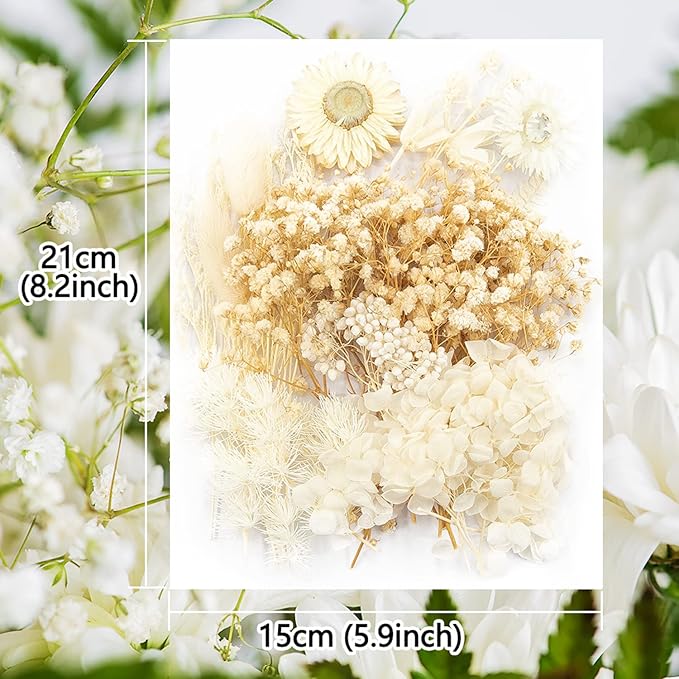 Vignee Real Dried Pressed Leaf Flowers-Multiple Colorful Pressed Flowers Daisies for Craft Resin Jewelry Making Art Craft DIY（White）