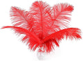24pcs Natural Bright Red Ostrich Feathers 10-12inch (25-30cm) for Wedding Party Centerpieces，Flower Arrangement and Home Decoration.