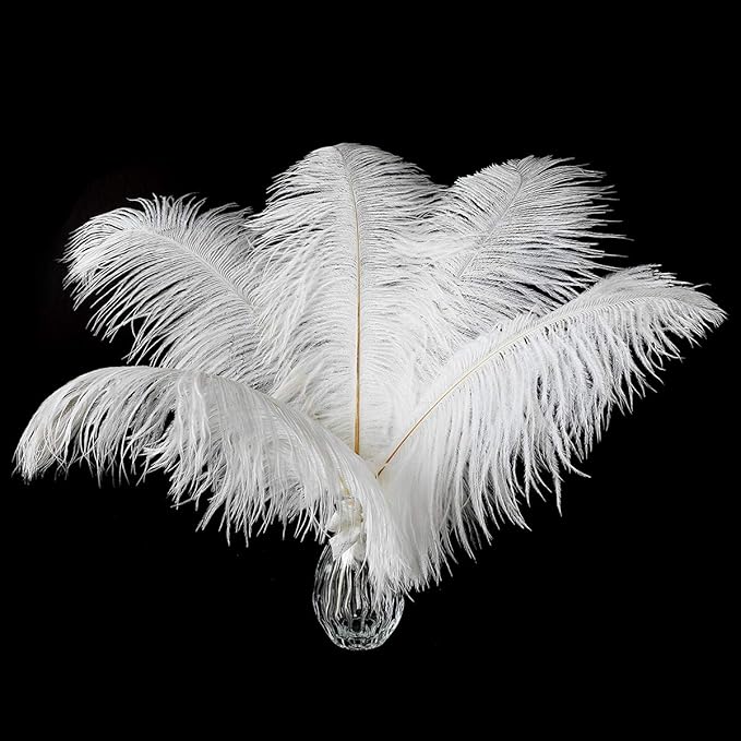 12pcs Natural White Ostrich Feathers 12-14inch (30-35cm) for Wedding Party Centerpieces，Flower Arrangement and Home Decoration.