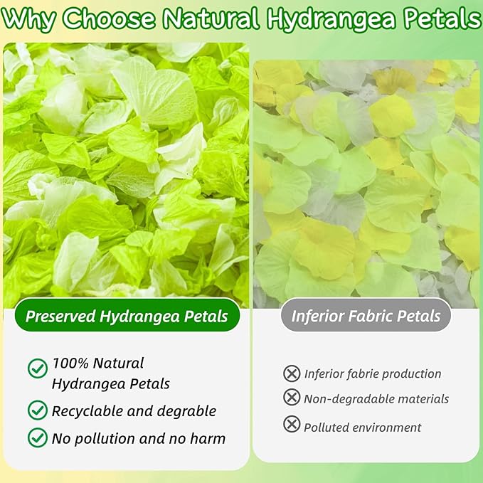 Real Dried Hydrangea Flower Petals -1.06Oz Real Natural Preserved Petals for Wedding, Party Confetti, Romantic Night, Proposal Decor, Handcrafts (Lime Green & White)
