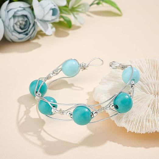 BENECREAT 18 Gauge Jewelry Craft Aluminum Wire 492 Feet Bendable Metal Sculpting Wire for Craft Floral Model Skeleton Making (Blue, 1mm)
