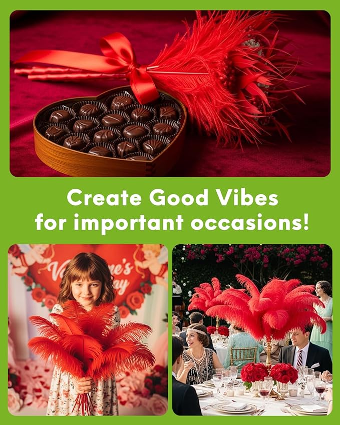 NEWONG 30pcs Red Ostrich Feathers Natural Bulk 9-12inch(23-30cm) Vase Craft Wedding Home Party Centerpieces Christmas Day Decoration