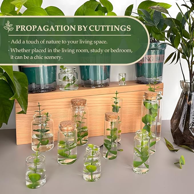 JIUYUE 40 pcs 50 ml Small Glass Cork Bottles,Cork Decoration(1.69 oz-1.45x2.75 inch)