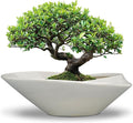 18 Inch Ceramic Bonsai Planter Pot with Drainage Hole, Glazed Large Plant Pot Succulent Planter for Indoor and Outdoor Plants Gray