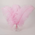 Larryhot Pink Long Ostrich Feathers - 16-18 inch 10pcs Feathers for Cfafts, Wedding Party Centerpieces and Home Decorations (Light Pink)