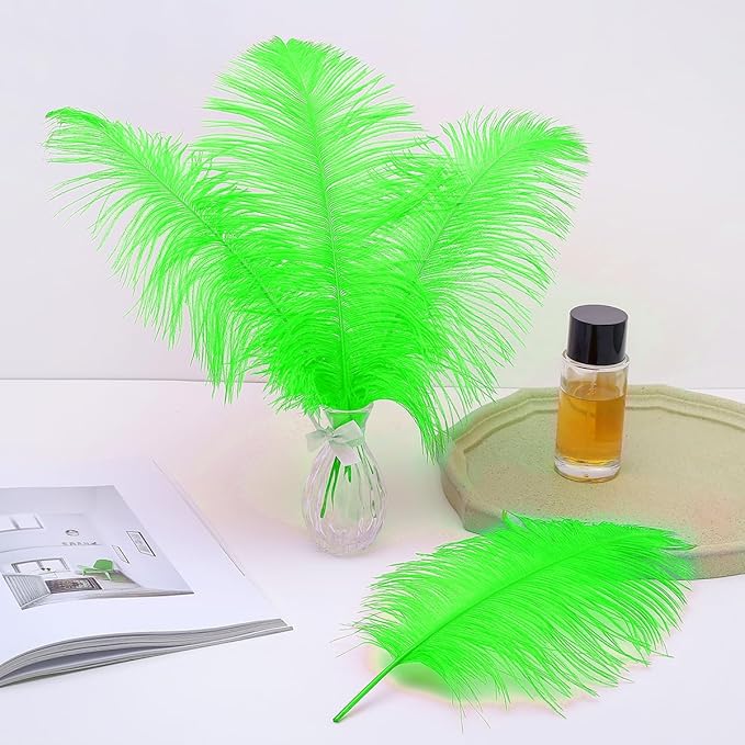 Ballinger Lime Green Ostrich Feathers - 24Pcs 10-12inch Large Green Ostrich Feathers for Vase,Wedding Party Centerpieces and Holiday Home Decor