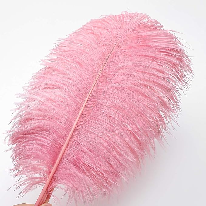 12pcs Natural Lotus Pink Ostrich Feathers 12-14inch (30-35cm) for Wedding Party Centerpieces，Flower Arrangement and Home Decoration.