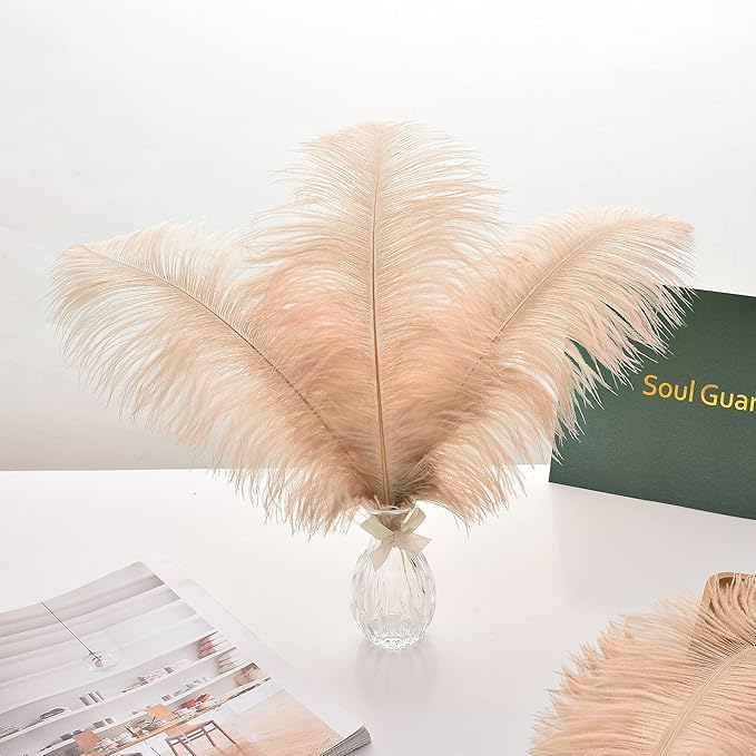 Ballinger Champagne Large Ostrich Feathers - 12Pcs 14-16inch Large Boho Feathers for Vase,Wedding Party Centerpieces and Holiday Home Decor